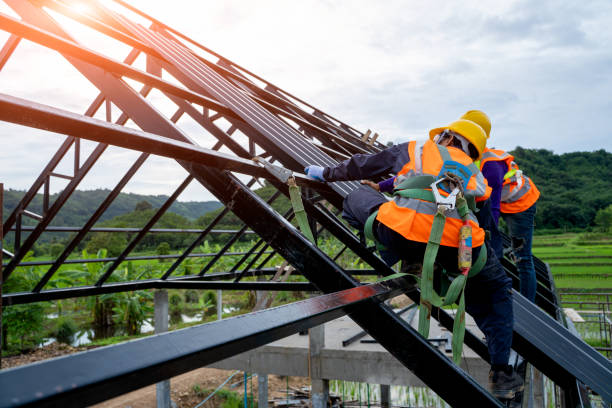 Best Roof Gutter Cleaning  in Dorothy, NJ