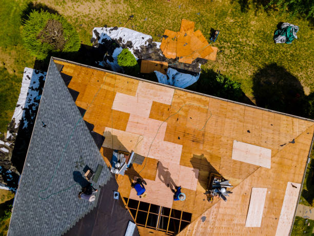 Best Storm Damage Roof Repair  in Dorothy, NJ