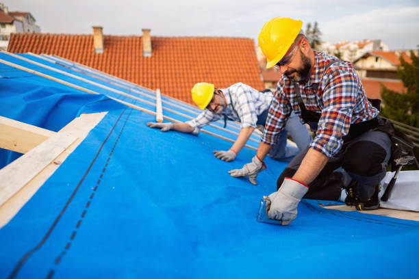Best Roof Waterproofing Services  in Dorothy, NJ