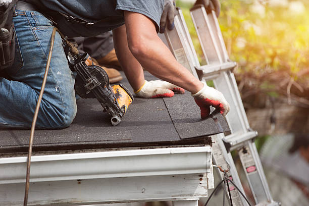 Roof Gutter Cleaning in Dorothy, NJ